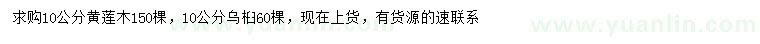 求购10公分黄莲木、乌桕