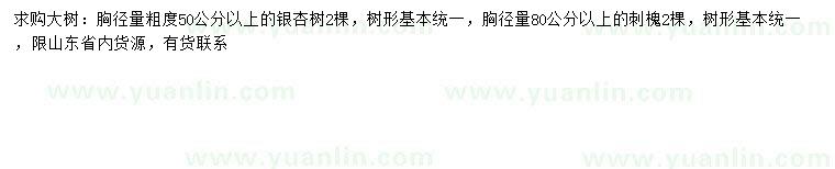 求购胸径量50公分以上银杏树、胸径80公分以上刺槐