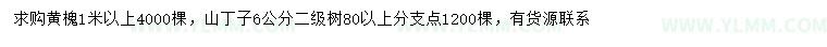 求购1米以上黄槐、6公分山丁子