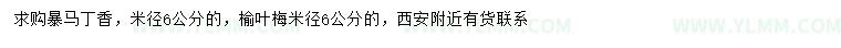 求购米径6公分暴马丁香、榆叶梅