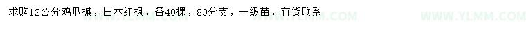 求购12公分鸡爪槭、日本红枫