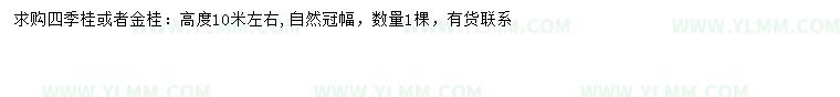 求购高10米左右四季桂、金桂