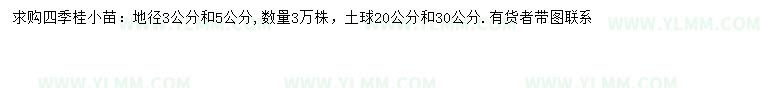 求购地径3、5公分四季桂小苗