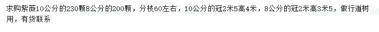 求购8、10公分紫薇