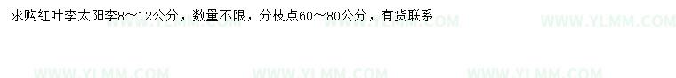 求购8-12公分红叶李、太阳李