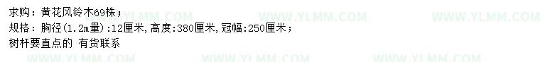 求购1.2米量12公分黄花风铃木