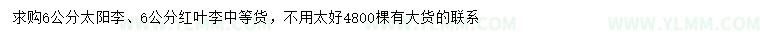 求购6公分太阳李、红叶李