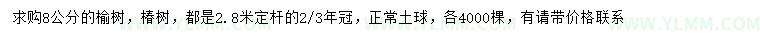 求购8公分榆树、椿树