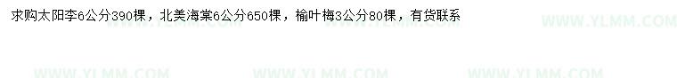 求购太阳李、北美海棠、榆叶梅