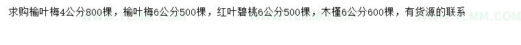 求购榆叶梅、红叶碧桃、木槿