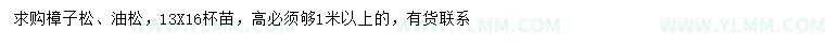 求购高1米以上樟子松、油松