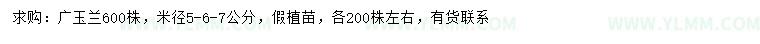 求购米径5、6、7公分广玉兰