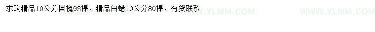 求购10公分国槐、白蜡