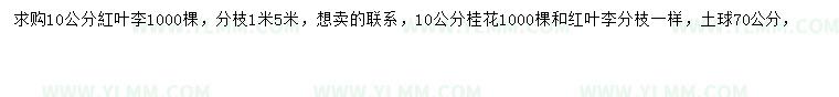 求购10公分红叶李、桂花