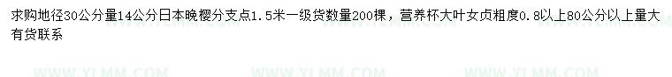 求购30量14公分日本晚樱、80公分以上大叶女贞