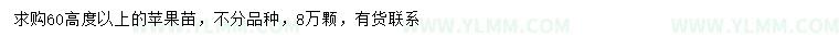 求购高60公分以上苹果