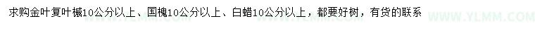 求购金叶复叶槭、国槐、白蜡