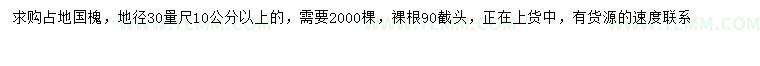 求购30量10公分以上国槐