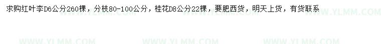 求购地径6公分红叶李、地径8公分桂花