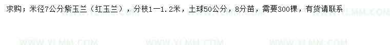 求购米径7公分紫玉兰、红玉兰