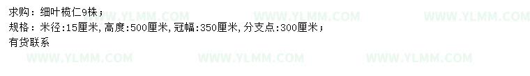 求购米径15公分细叶榄仁