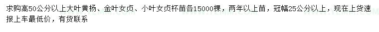 求购大叶黄杨、金叶女贞、小叶女贞