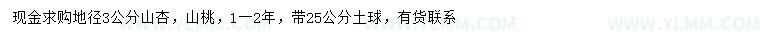 求购地径3公分山杏、山桃