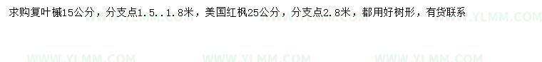 求购15公分复叶槭、25公分美国红枫