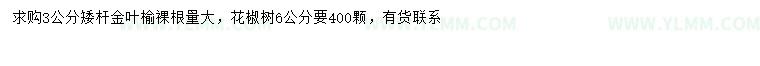 求购3公分金叶榆、6公分花椒树