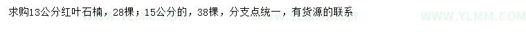 求购13、15公分红叶石楠