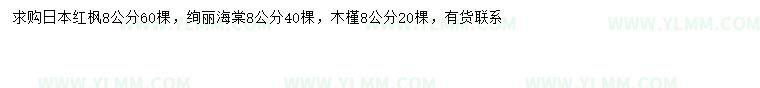 求购日本红枫、绚丽海棠、木槿