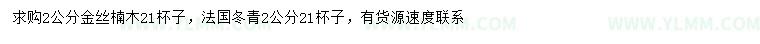 求购2公分金丝楠木、法国冬青