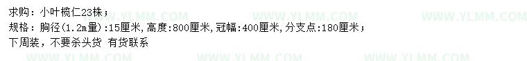 求购1.2米量15公分小叶榄仁