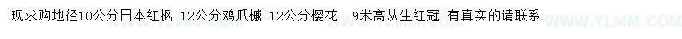 求购日本红枫、鸡爪槭、樱花等