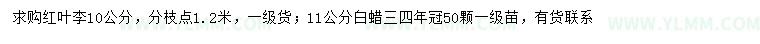 求购10公分红叶李、11公分白蜡