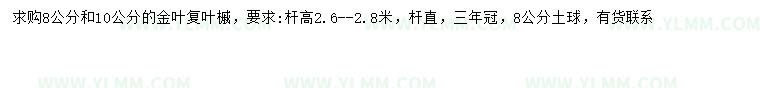 求购8、10公分金叶复叶槭