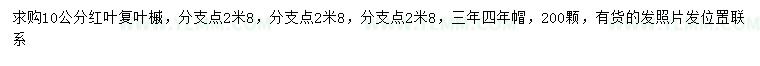 求购10公分红叶复叶槭