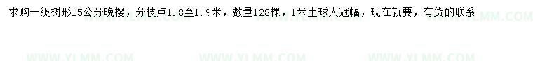 求购15公分晚樱