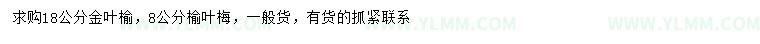 求购18公分金叶榆、8公分榆叶梅