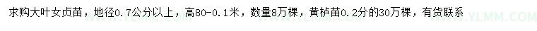 求购地径0.7公分以上大叶女贞、0.2公分黄栌