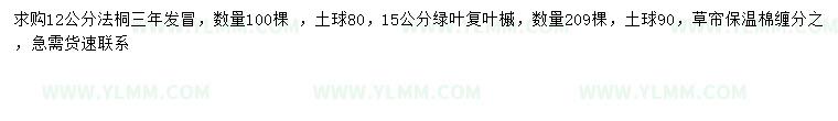 求购12公分法桐、15公分绿叶复叶槭  