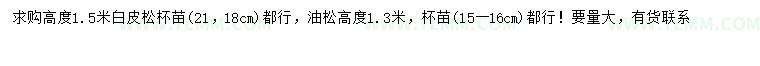 求购高1.5米白皮松、高1.3米油松