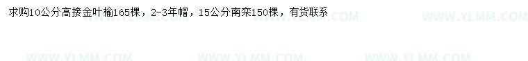 求购10公分高接金叶榆、15公分南栾