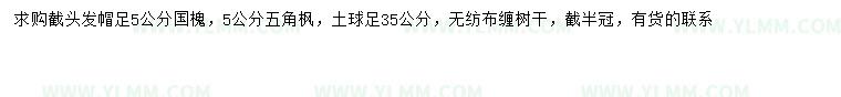 求购5公分国槐、五角枫