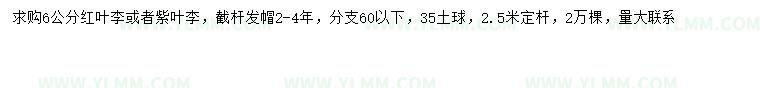 求购6公分红叶李、紫叶李