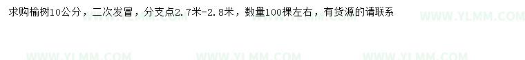 求购10公分榆树