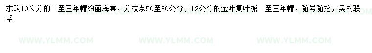 求购10公分绚丽海棠、12公分金叶复叶槭
