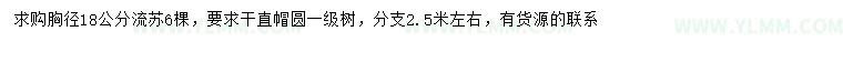 求购胸径18公分流苏