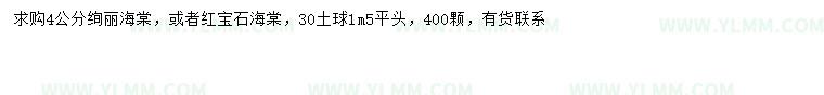 求购4公分绚丽海棠、红宝石海棠