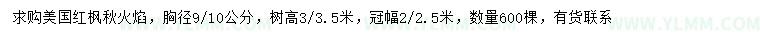 求购胸径9、10公分美国红枫秋火焰